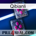 Qibianli 01